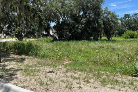 Land in Auburndale, Florida № 1791533 - photo 20