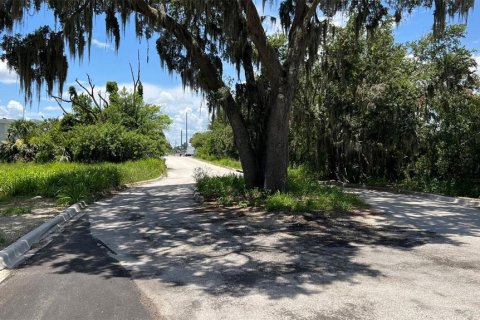 Land in Auburndale, Florida № 1791533 - photo 18