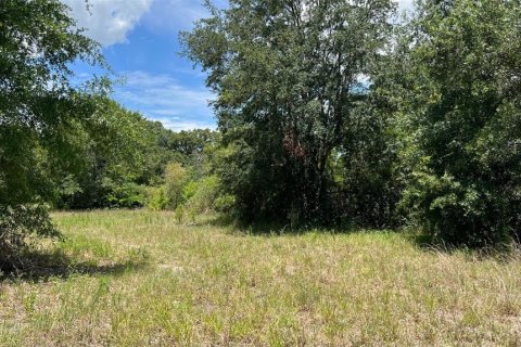Land in Auburndale, Florida № 1791533 - photo 4