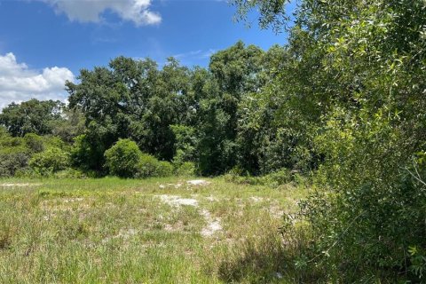 Land in Auburndale, Florida № 1791533 - photo 8