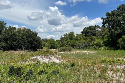 Land in Auburndale, Florida № 1791533 - photo 10