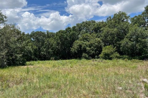 Land in Auburndale, Florida № 1791533 - photo 11