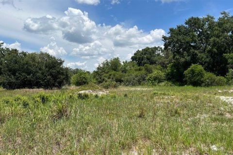 Land in Auburndale, Florida № 1791533 - photo 7