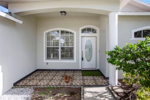 House in Tarpon Springs, Florida 4 bedrooms, 180.23 sq.m. № 1347192 - photo 5