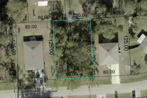 Land in Palm Coast, Florida № 1691100 - photo 1