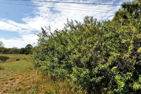 Land in North Port, Florida № 1424988 - photo 7