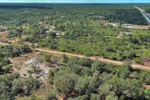 Terreno en venta en Lehigh Acres, Florida № 2164290 - foto 15