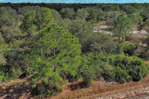 Terreno en venta en Lehigh Acres, Florida № 2164290 - foto 4