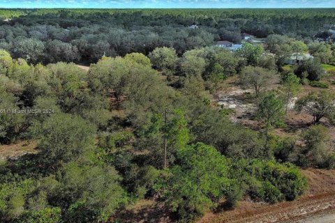 Terreno en venta en Lehigh Acres, Florida № 2164290 - foto 6