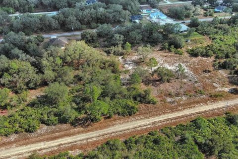 Land in Lehigh Acres, Florida № 2164290