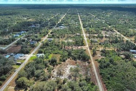 Terreno en venta en Lehigh Acres, Florida № 2164290 - foto 14