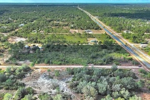 Terreno en venta en Lehigh Acres, Florida № 2164290 - foto 13