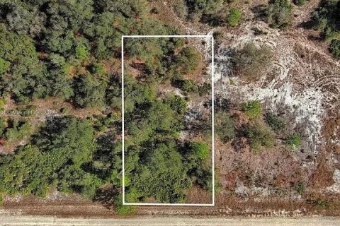 Terreno en venta en Lehigh Acres, Florida № 2164290 - foto 3