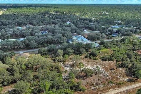 Terreno en venta en Lehigh Acres, Florida № 2164290 - foto 7