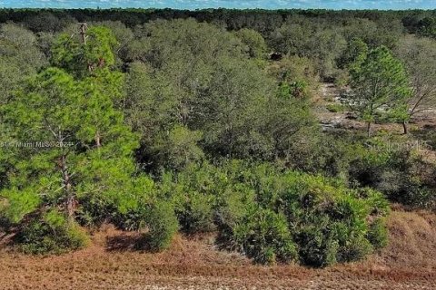 Terreno en venta en Lehigh Acres, Florida № 2164290 - foto 2
