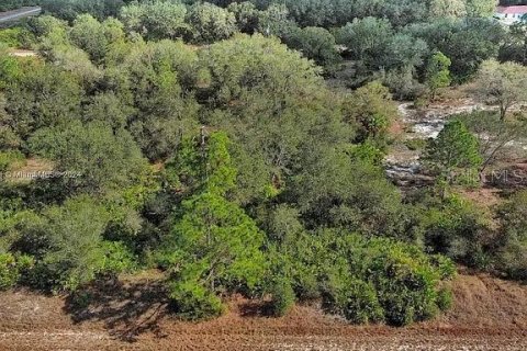 Terreno en venta en Lehigh Acres, Florida № 2164290 - foto 5
