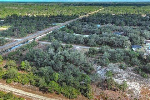 Terreno en venta en Lehigh Acres, Florida № 2164290 - foto 9