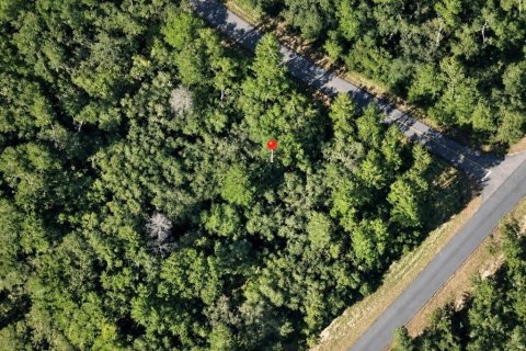 Land in Ocala, Florida № 2384402 - photo 2