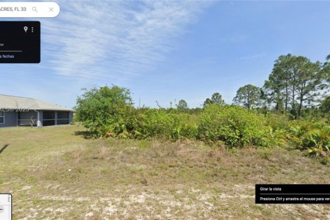 Land in Lehigh Acres, Florida № 1891165 - photo 2
