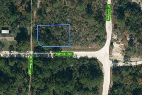 Land in Lake Placid, Florida № 2213029