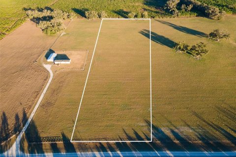 Terrain à Newberry, Floride № 2113327