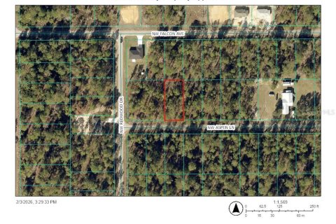 Land in Dunnellon, Florida № 2163829 - photo 2