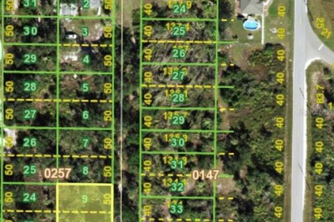 Land in Punta Gorda, Florida № 2161806