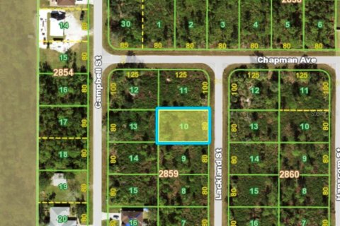Land in Port Charlotte, Florida № 2228856