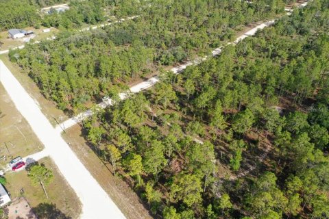 Terrain à vendre à Williston, Floride № 2208914 - photo 5