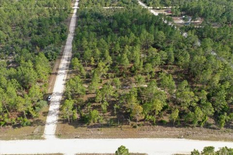 Terrain à vendre à Williston, Floride № 2208914 - photo 4