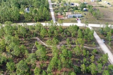 Terrain à vendre à Williston, Floride № 2208914 - photo 8