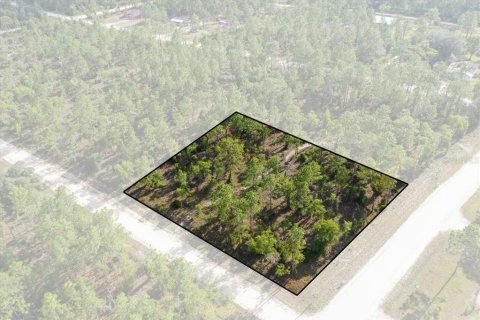 Terreno en Williston, Florida № 2208914