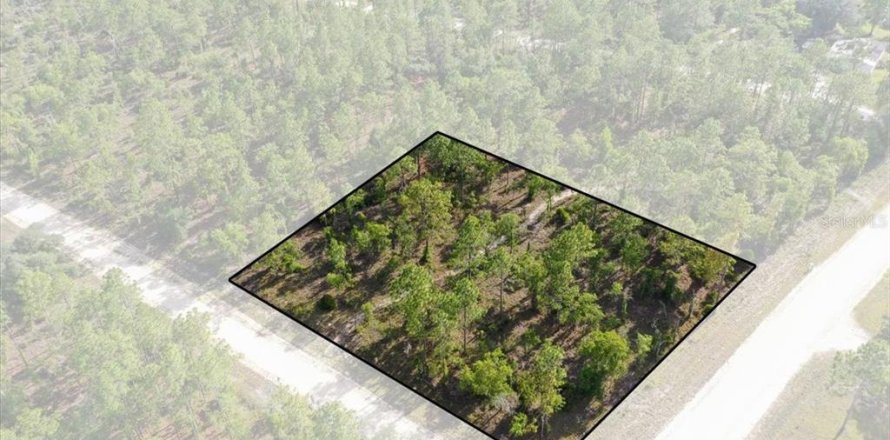 Terrain à Williston, Floride № 2208914