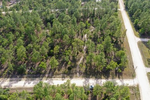 Terrain à vendre à Williston, Floride № 2208914 - photo 2