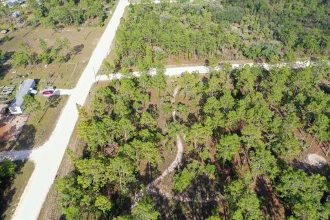 Terrain à vendre à Williston, Floride № 2208914 - photo 6
