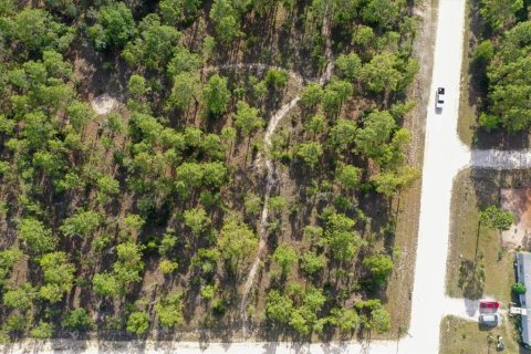 Terrain à vendre à Williston, Floride № 2208914 - photo 10