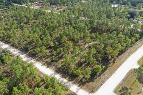 Terrain à vendre à Williston, Floride № 2208914 - photo 3