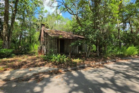 Land in Micanopy, Florida № 2161318 - photo 3