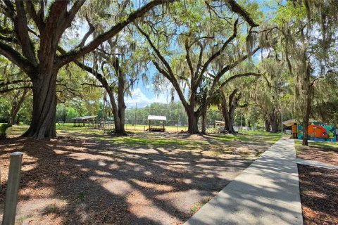 Land in Micanopy, Florida № 2161318 - photo 15