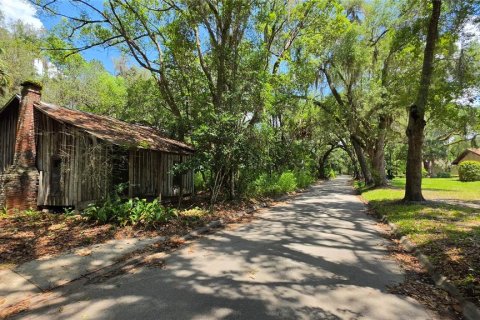Land in Micanopy, Florida № 2161318 - photo 5