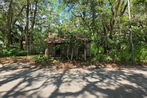 Land in Micanopy, Florida № 2161318