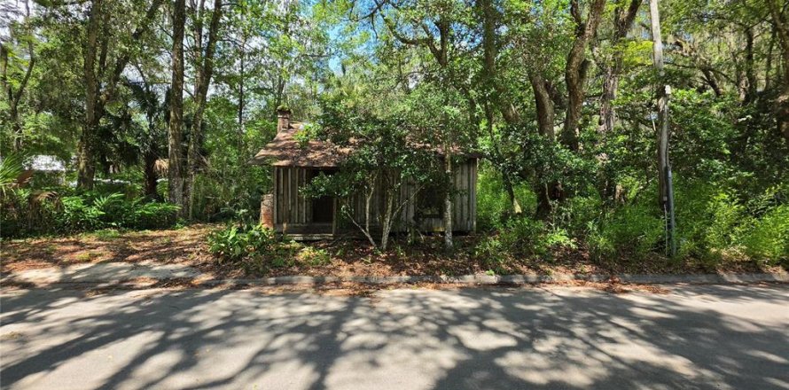 Land in Micanopy, Florida № 2161318