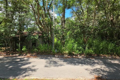 Land in Micanopy, Florida № 2161318 - photo 7
