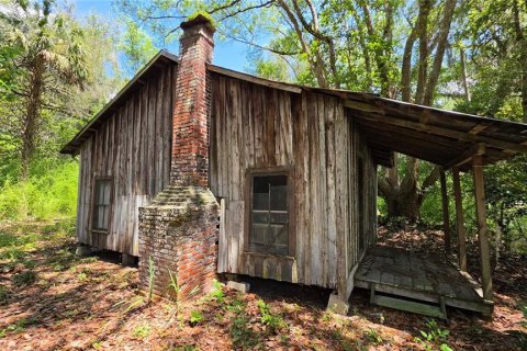 Land in Micanopy, Florida № 2161318 - photo 10