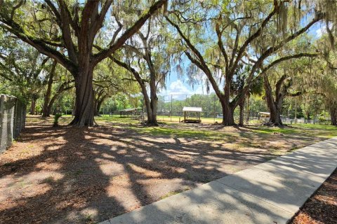 Land in Micanopy, Florida № 2161318 - photo 14