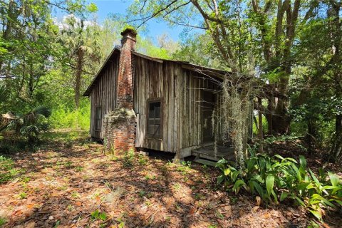 Land in Micanopy, Florida № 2161318 - photo 11
