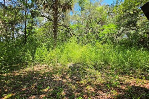 Land in Micanopy, Florida № 2161318 - photo 6