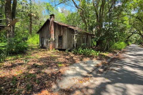 Land in Micanopy, Florida № 2161318 - photo 4