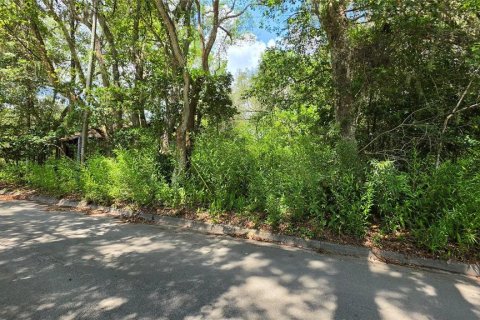 Land in Micanopy, Florida № 2161318 - photo 8