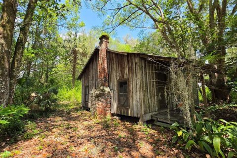 Land in Micanopy, Florida № 2161318 - photo 12